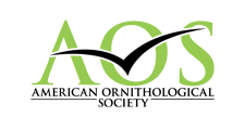American Ornithological Society